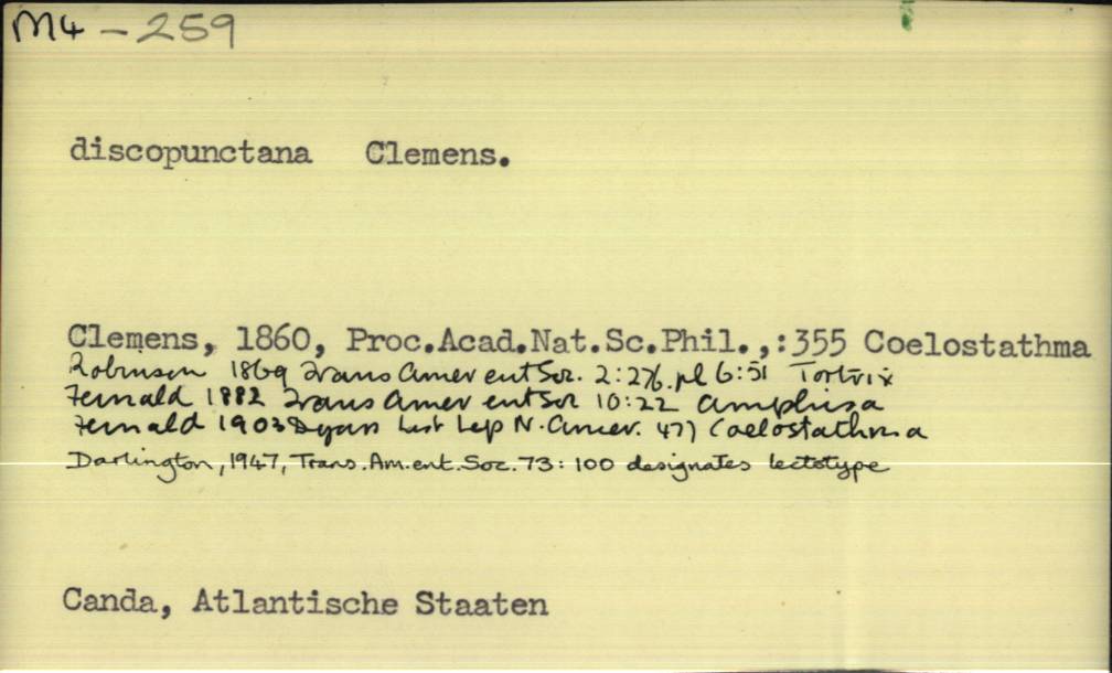 front of card